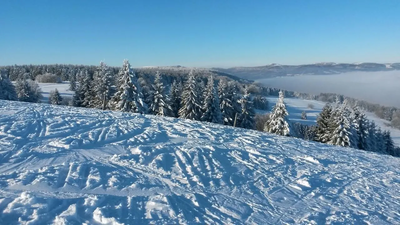Kaline 2 Apartman Wildflecken Németország