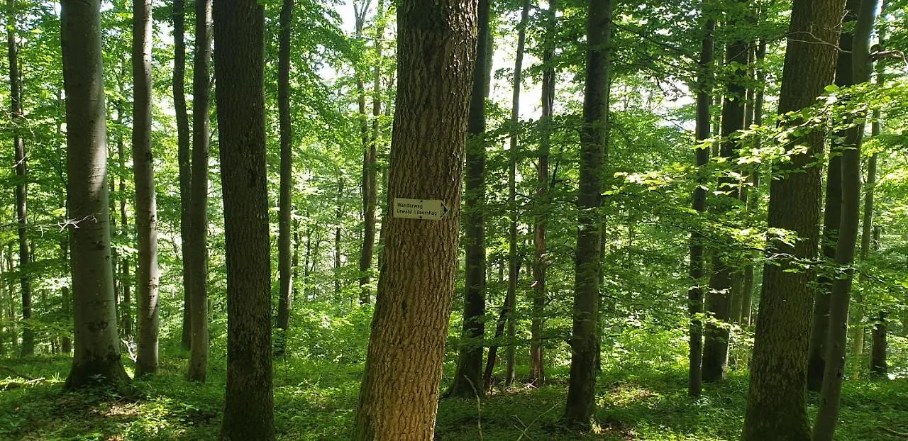 Kaline 2 Apartman Wildflecken