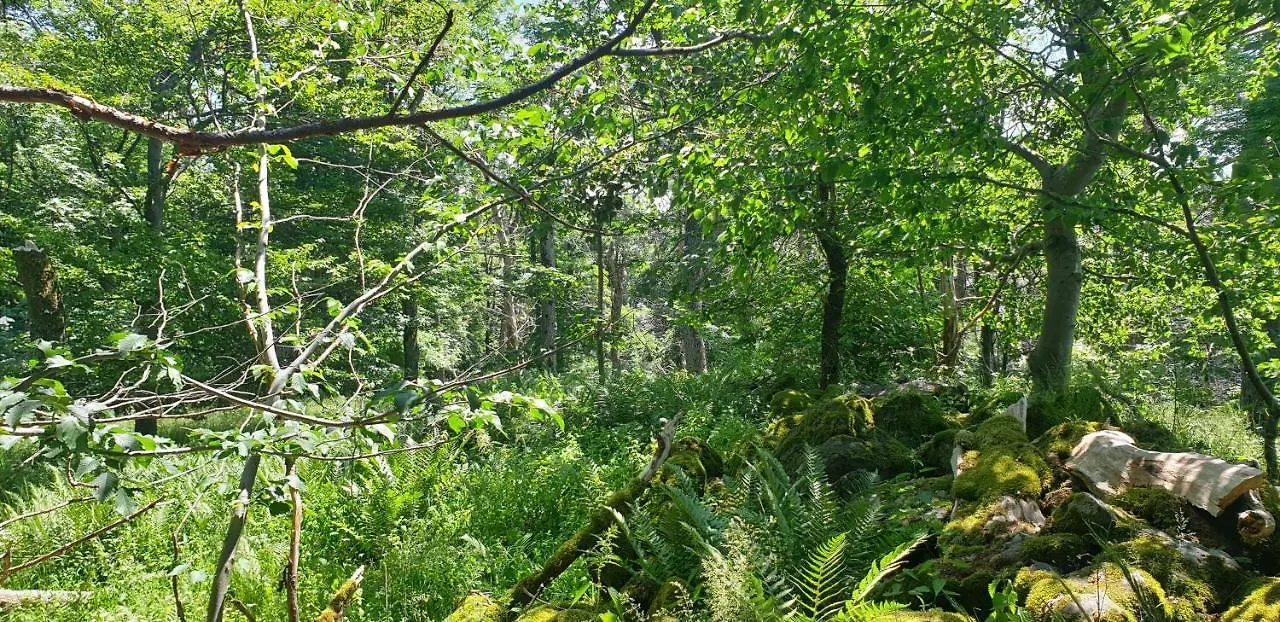 Kaline 2 Apartman Wildflecken Németország